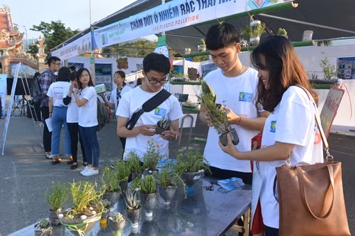 Cùng hành động vì đại dương xanh ảnh 3