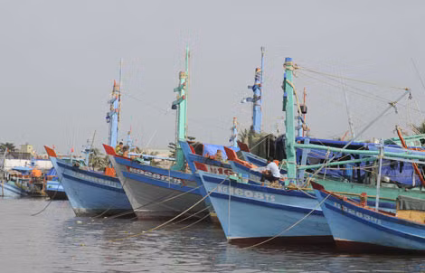Phương tiện vào cảng Dinh Cậu, huyện đảo Phú Quốc (Kiên Giang) tránh mưa giông .