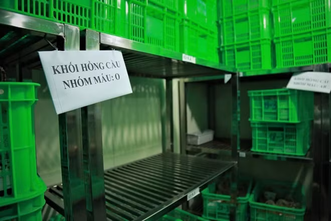 Thiếu trầm trọng nhóm máu O