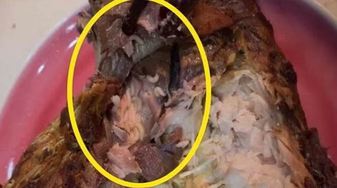 Giòi bò lúc nhúc trong khúc cá kho mà CleverFood bán cho khách hàng