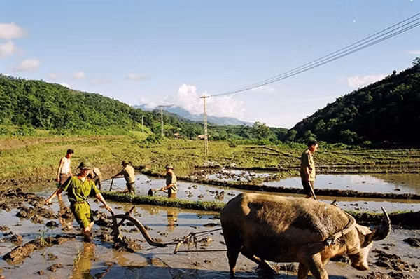 Cán bộ Công an tỉnh Lai Châu giúp dân sản xuất.