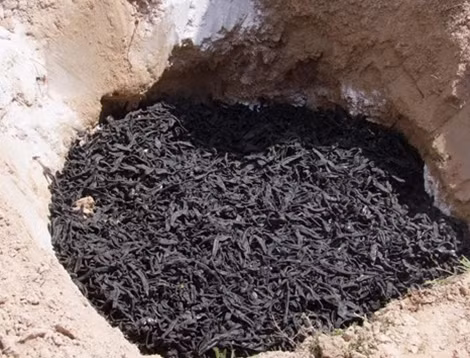 Lực lượng công an kiểm tra số đỉa trước khi tiêu hủy.