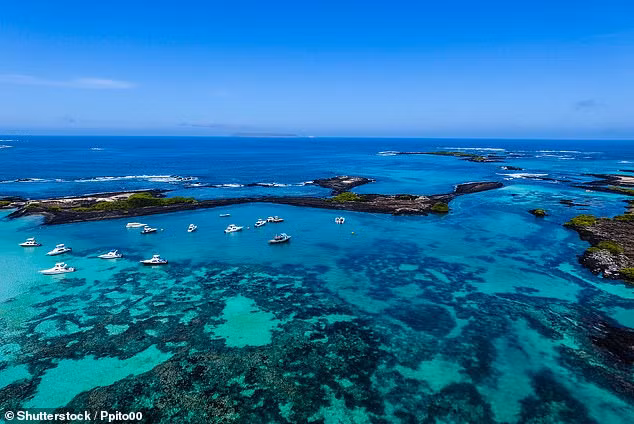 Galápagos được UNESCO công nhận là di sản thế giới năm 1978. Ảnh: Shutterstock.