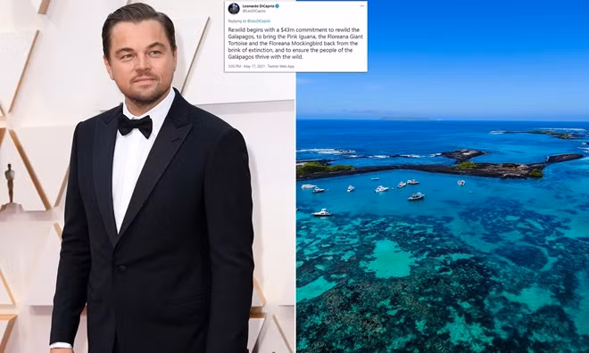 Leonardo DiCaprio dẫn đầu cam kết tài trợ 43 triệu USD, cùng đối tác bảo tồn Galápagos. Ảnh: Dailymail.