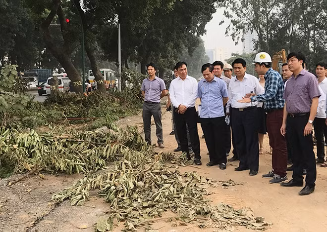 Lãnh đạo UBND TP Hà Nội kiểm tra việc đánh chuyển cây xanh trên đường Phạm Văn Đồng (ảnh Quý Hải)