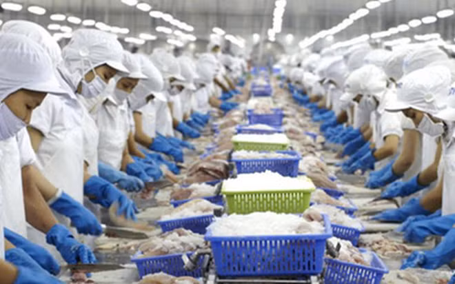 EU khuyến nghị Việt Nam nên tăng mức phạt đối với hành vi khai thác thủy hải sản bất hợp pháp