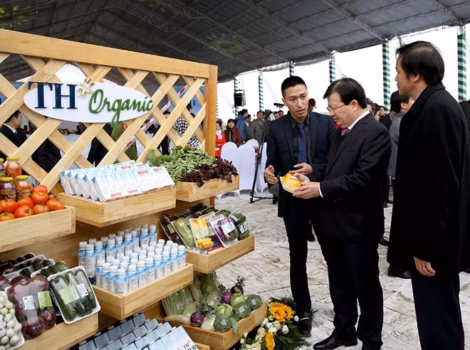 Phó Thủ tướng Trịnh Đình Dũng yêu cầu tập đoàn TH chú trọng đào tạo, ưu tiên tuyển dụng lao động địa phương đặc biệt là những hộ dân trong vùng dự án.