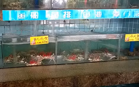 Những con ghẹ lớn đánh bắt ở vùng biển Việt Nam được bán với giá 328 Nhân dân tệ/600gam).