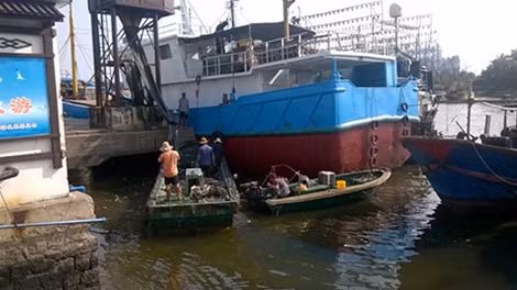 Vận chuyển lương thực lên tàu để chuẩn bị ra khơi.