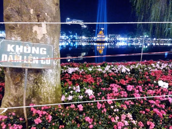 Khu vực để hoa trang trí được đặt biển cấm và chăng dây. Trước đó, tại buổi giao ban giữa lãnh đạo thành phố với các sở ngành, Chủ tịch Hà Nội Nguyễn Đức Chung đã yêu cầu các đơn vị liên quan có biện pháp bảo vệ vườn hoa quanh hồ trong đêm giao thừa, không để xảy ra hình ảnh phản cảm giẫm nát hoa, cỏ như ngày Tết dương lịch vừa qua. Ảnh: Võ Hải.
