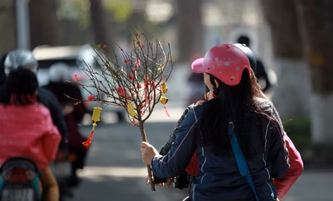 Người dân hối hả kịp mua 1 cành đào để về nhà chuẩn bị đón giao thừa.