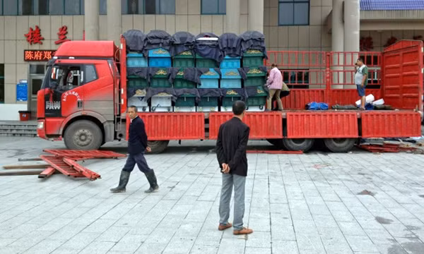 Quan tài được dỡ xuống từ xe tải. Ảnh: The guardian.