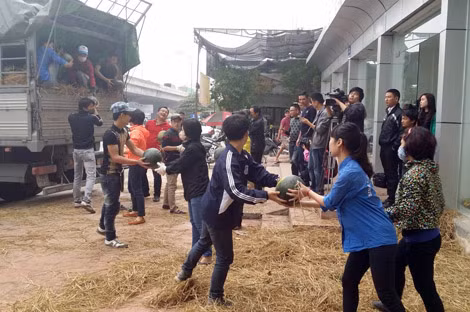 Sự hỗ trợ của người dân miền Bắc, đặc biệt là Hà Nội và các nhóm thiện nguyện đã thành công trong việc đẩy giá thu mua dưa của nông dân lên cao.