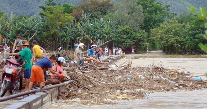 Người dân tranh thủ vớt củi trên cầu bắc qua thôn Thái Sơn, xã Đại Hưng đầy nguy hiểm.