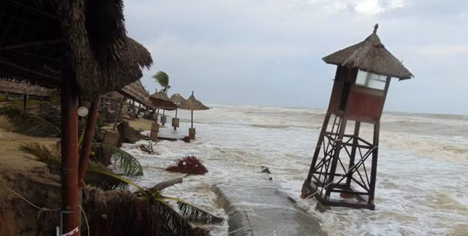Ông Nguyễn Thế Hùng, Phó Chủ tịch UBND TP Hội An, cho biết tính tới thời điểm này, bờ biển Cửa Đại đã sạt lở đến 1.300m, làm ảnh hưởng lớn đến 12 hộ kinh doanh nhà hàng, khu nghỉ dưỡng trên địa bàn. Riêng trong 1 tháng trở lại đây, tình trạng sạt lở có diễn biến phức tạp, bờ biển tiếp tục sạt lở hơn 400m về phía Bắc với chiều sâu sạt lở khoảng 20m. Trong ảnh là hàng loạt căn chòi của khu nghỉ dưỡng Parm Garden sắp bị sóng lớn "nuốt chửng" ra biển.