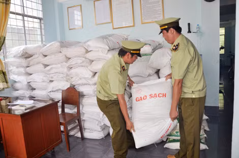 Đường cát lậu ẩn trong bao “gạo sạch” bị lực lượng QLTT An Giang bắt giữ.