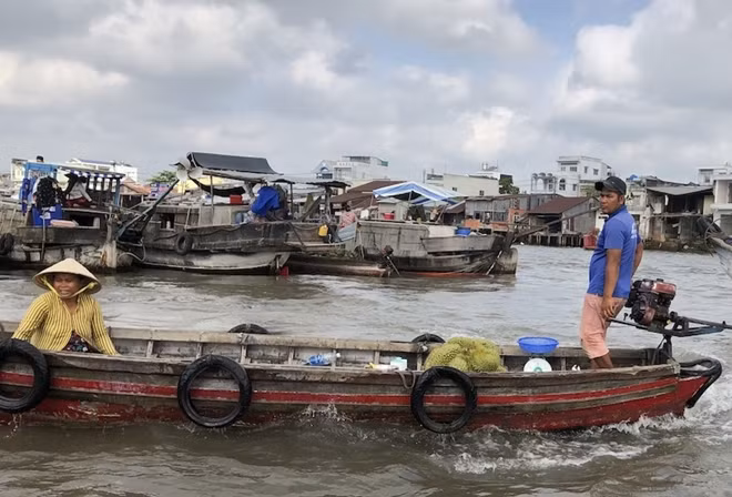 Chủ tịch UBND TP Cần Thơ yêu cầu các địa phương phải quan tâm đến người lao động tự do, người bán hàng rong, bán hàng tự sản tự tiêu tại các chợ truyền thống, chợ dân sinh, chợ nổi, bốc vác, phụ hồ, chạy xe ôm…