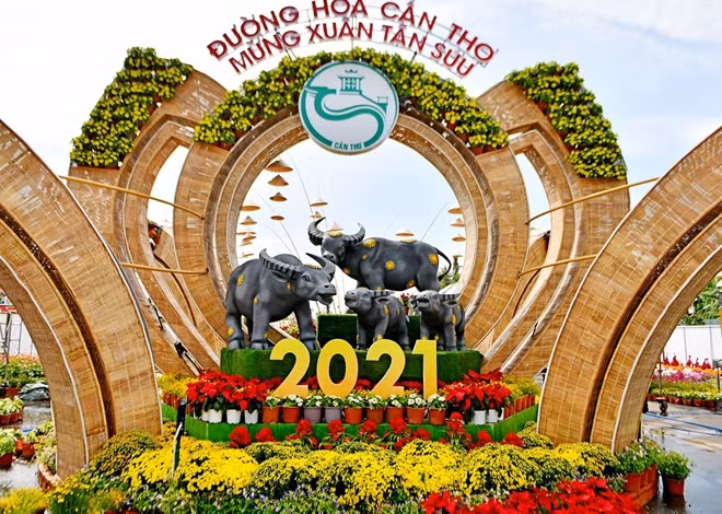 Đường hoa Cần Thơ khai mạc tối 8/2 (27 tháng Chạp), kéo dài đến tối 16/2 (mùng 5 Tết).