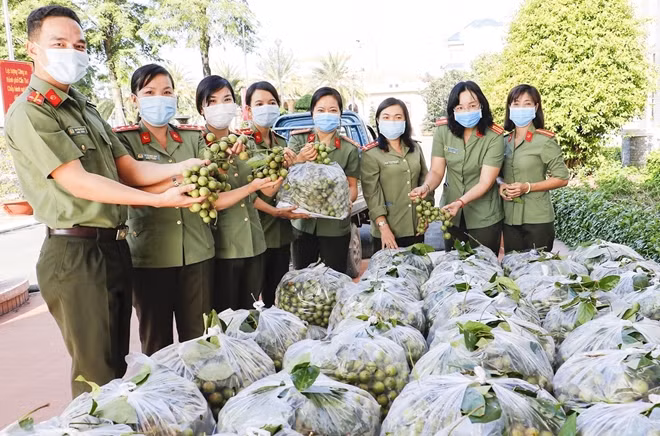 Đoàn viên Thanh niên Công an TP Cần Thơ hỗ trợ tiêu thụ 2 tấn dâu xanh cho người dân.
