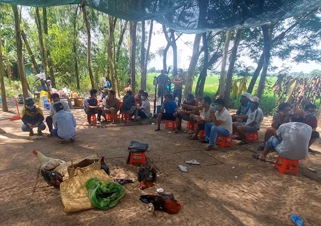 Nhóm người đánh bạc bị bắt quả tang.