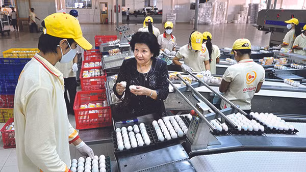 Ảnh minh hoạ. Nguồn: Hiệp hội doanh nghiệp.