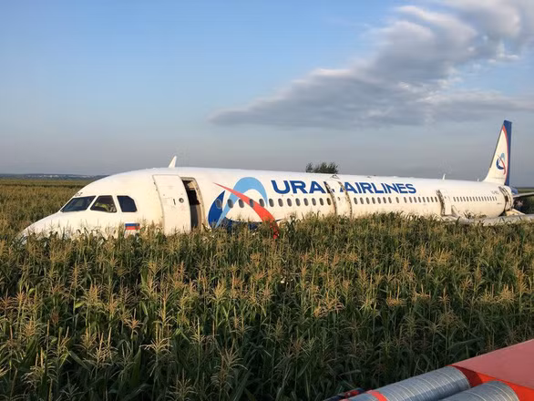 Chiếc máy bay của Ural Airlines được hạ cánh "thần kỳ" trên ruộng ngô. Ảnh: Reuters.
