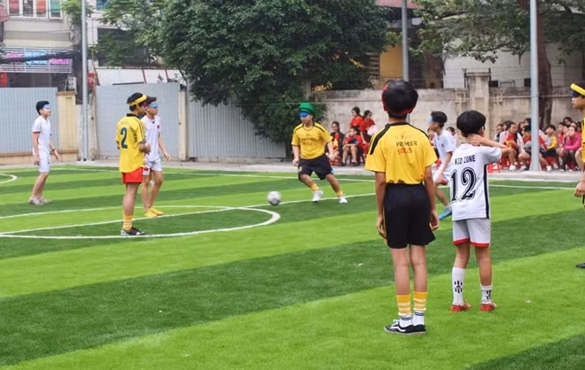 Với mục đích nhằm hỗ trợ các học sinh khiếm thị có điều kiện tập luyện thể thao đặc biệt là bóng đá để nâng cao sức khỏe thể chất học đường, Đại sứ quán Nhật Bản đã kết nối để Quỹ Nippon Foundation tài trợ cho Trường PTCS Nguyễn Đình Chiểu Hà Nội một khoản kinh phí trị giá 721.000.000 VND để xây dựng sân bóng tiêu chuẩn dành cho trẻ em khiếm thị.