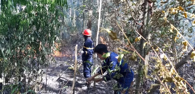 Hàng trăm chiến sĩ PCCC&CNCH, quân đội và người dân nỗ lực phối hợp dập lửa, cứu rừng…