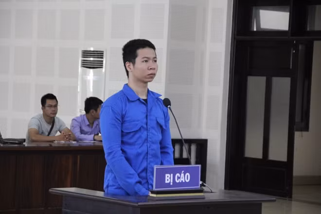 Nguyễn Thái Hòa Bình tại tòa