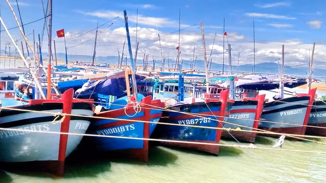 Tàu cá của ngư dân Nam Trung bộ neo đậu tránh bão. Ảnh : Hữu Toàn