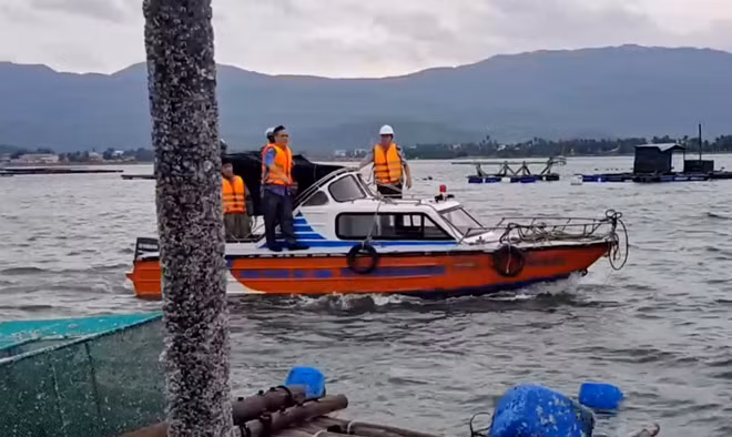 Các cơ quan chức trách và chính quyền địa phương kiểm tra từng lồng bè tôm, cá trên vịnh Xuân Đài, kiên quyết sơ tán người dân vào bờ tránh bão. Ảnh : Hữu Toàn