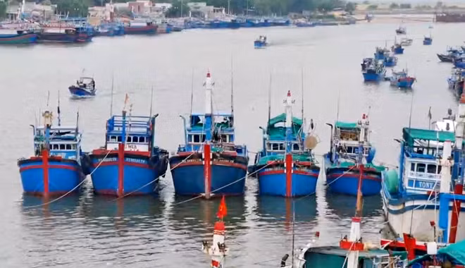 Tàu cá của ngư dân khu Nam Trung bộ neo đậu tránh bão số 6. Ảnh : Hữu Toàn