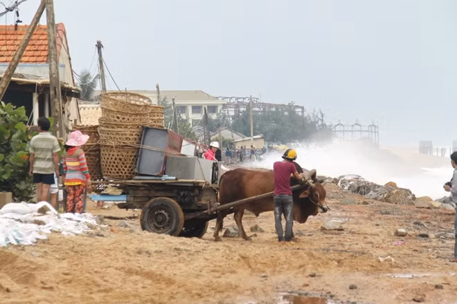 Một số người dân ven biển chủ động sơ tán, di dời tài sản tránh khỏi tầm nguy hiểm của sóng biến xô đập trong cơn bão. Ảnh: CTV