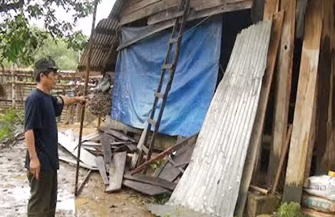 Phần vách nhà người dân bị voi rừng quật sập. Phần vách nhà người dân bị voi rừng quật sập.