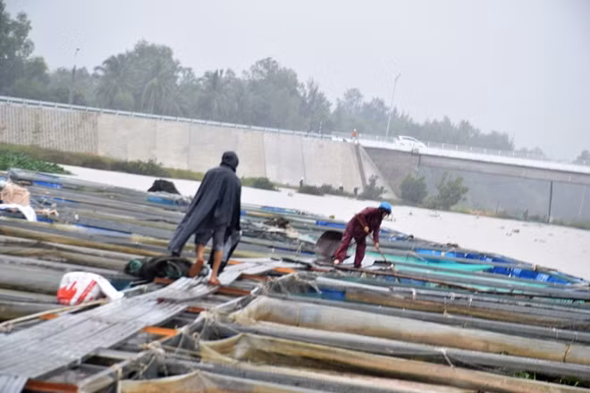 Hiện gia đình anh Ngọc đang tiến hành cứu vớt một số lồng bè còn lại