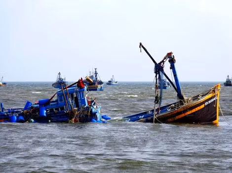 Đấu tranh với nạn giã cào trên biển ảnh 2