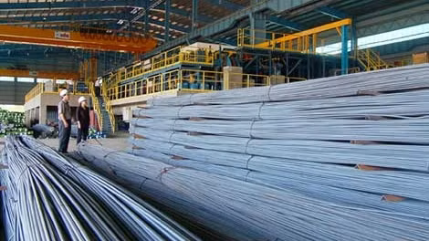 Rà soát các dự án FDI có vốn đầu tư đăng ký từ 100 triệu USD trở lên ảnh 3