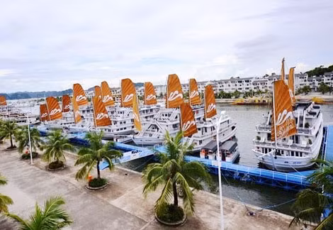 Tàu du lịch trên vịnh Hạ Long.