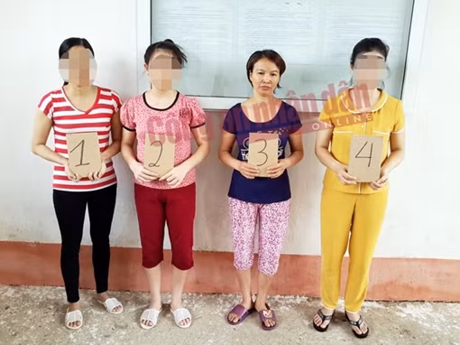 Ngày 27-11, xét xử mẹ nữ sinh giao gà về hành vi mua bán ma túy