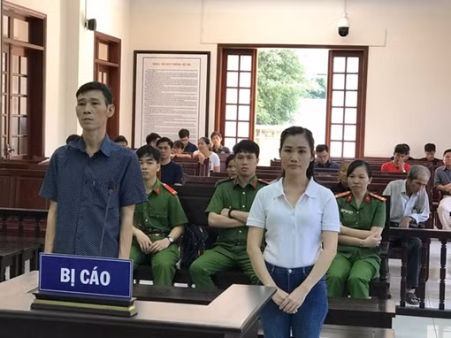 Rủ nhau chống phá Nhà nước, hai anh em bị phạt 14 năm tù 