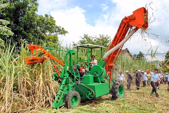 Máy thu hoạch mía do anh Phi Anh Đệ sáng chế. Máy thu hoạch mía do anh Phi Anh Đệ sáng chế.