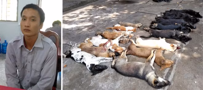 Huỳnh Thanh Phong và 15 con chó, mèo đã chết được cơ quan Công an thu giữ. Huỳnh Thanh Phong và 15 con chó, mèo đã chết được cơ quan Công an thu giữ.