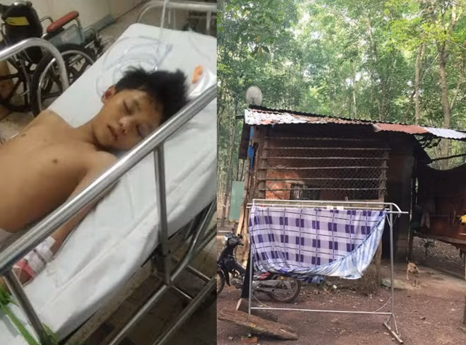 Em Võ Hoàng Anh bị hôn mê sâu đang điều trị tại Bệnh viện Chợ Rẫy, TP HCM(ảnh trái). Ngôi nhà tuềnh toàng của gia đình em Võ Hoàng Anh tại ấp 2, xã Tân Thành, thị xã Đồng Xoài, tỉnh Bình Phước. Em Võ Hoàng Anh bị hôn mê sâu đang điều trị tại Bệnh viện Chợ Rẫy, TP HCM(ảnh trái). Ngôi nhà tuềnh toàng của gia đình em Võ Hoàng Anh tại ấp 2, xã Tân Thành, thị xã Đồng Xoài, tỉnh Bình Phước.