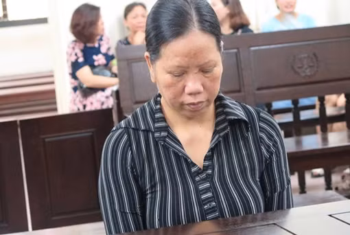 Lừa xin việc vào cơ quan Nhà nước, chiếm đoạt hơn 6,6 tỷ đồng