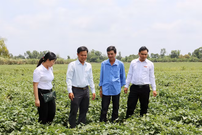 Hợp tác “3N” giúp kinh tế người dân đồng bằng sông Cửu Long phát triển.
