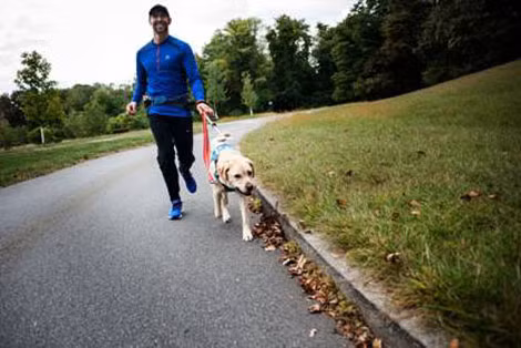 Panek và Gus tập chạy bộ trong công viên.