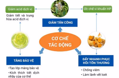 CumarGold Fast mang lại hiệu quả tránh tái phát viêm dạ dày.