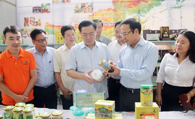 Phó Thủ tướng Vương Đình Huệ xem sản phẩm tiêu biểu của từng địa phương. Ảnh: TTXVN.