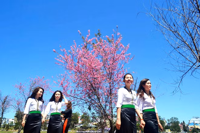 Đà Lạt sang xuân. Ảnh: Khắc Lịch.