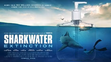 Bộ phim "Sharkwater: Extinction" là đứa con tinh thần gây tiếng vang trên thế giới của đạo diễn người Canada - Rob Stewart.